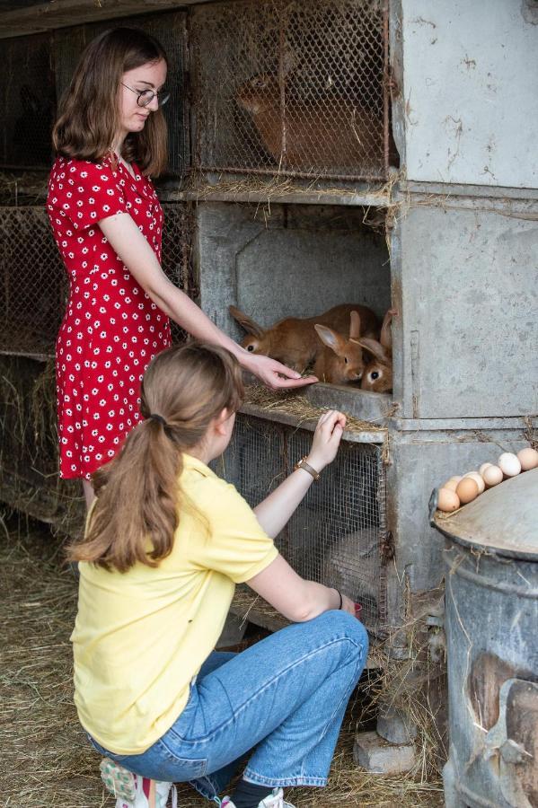 Athienville La Grange Aux Hirondelles Bed & Breakfast エクステリア 写真